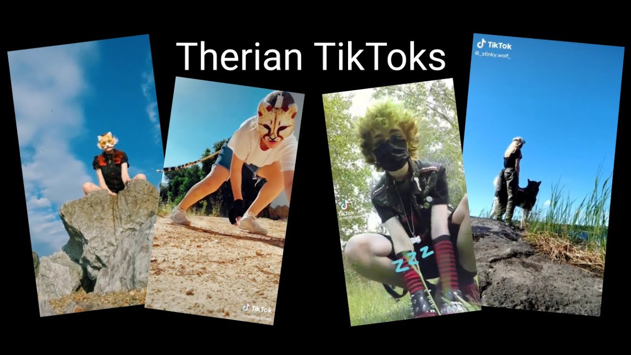 Therian Tiktoks #20 