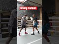Boxing combos #combos #boxingtraining #short #boxingcommunity #combatsports #combat #shortsfeed