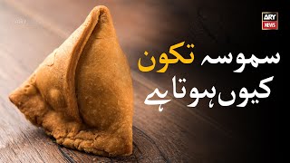 The Real Reason Samosas Have Their Famous Triangle Shape | Fact Files