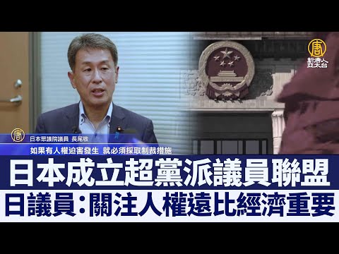 日本议员：关注人权远比经济重要