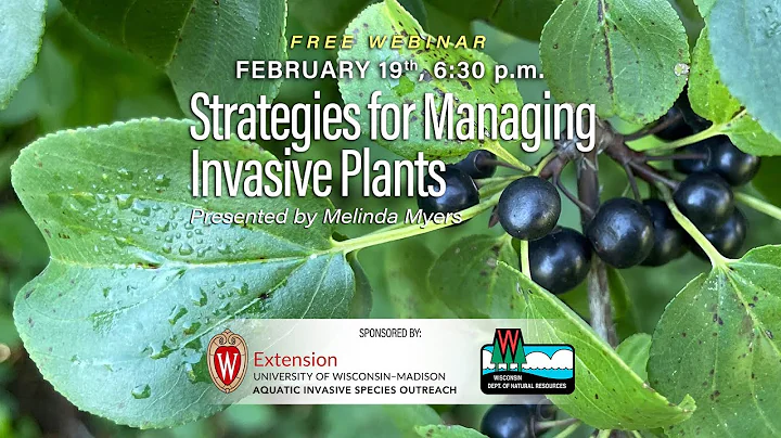 Strategies for Managing Invasive Plants