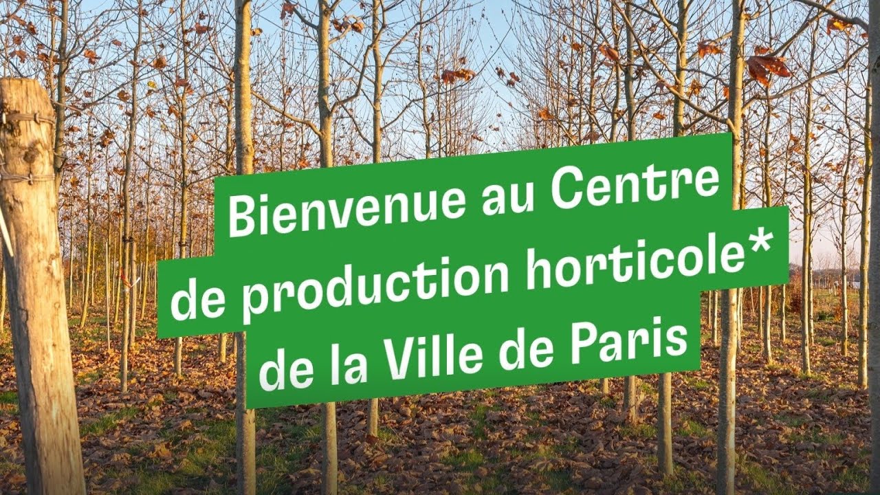 Le Centre de production horticole de la Ville de Paris