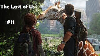 The Last of Us Part I - Poslední díl 😱😱 #11 CZ/SK