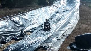 Slip N Slide Galen Jim Gokcen Scotty Kingsley Brad