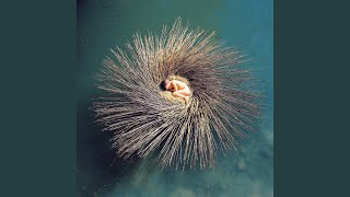 Make Tomorrow - Peter Gabriel