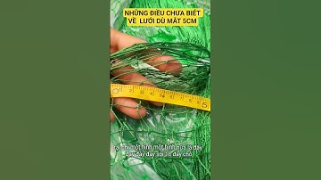 Bí Mật về lưới dù mắt 5cm ít ai biết, fishing net #shorts