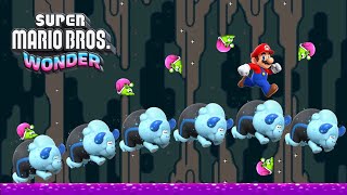 Bulrush Express | Super Mario Wonder Part 6
