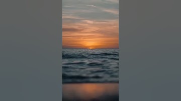 القران الكريم.  القارئ المعتصم بالله.