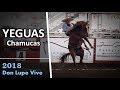 YEGUAS CANIJAS - Don Lupe Vive 2018