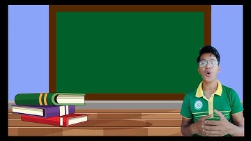 Metacognitive observation Interview (reflection)