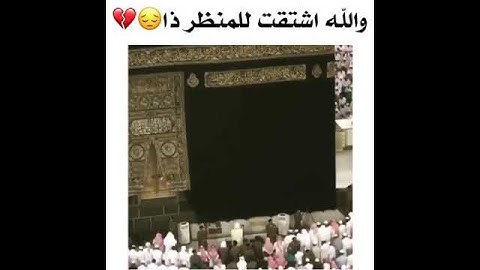 ياسر الدوسري تلاوة تفوق الخيال😍.