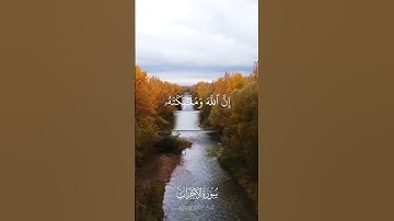 إن الله و ملائكته يصلون على النبي- القارئ هزاع البلوشي-  سورة الأحزاب
