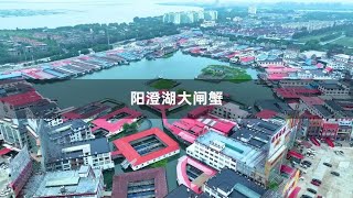 深入苏州阳澄湖中，实拍蟹农养蟹，原来阳澄湖大闸蟹是这样养蟹的