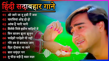 Hindi Gana🌹Sadabahar Song 💖हिंदी गाने 💔Purane Gane Mp3 💕Filmi Gaane अल्का याग्निक कुमार सानू गीत