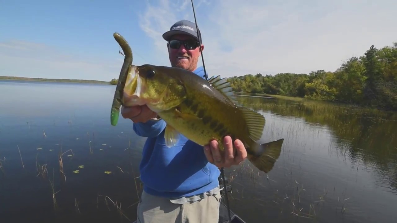 Attacking the Thick Grass for Northern Bass Topwater Style! YouTube