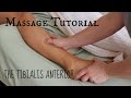 Massage tutorial tibialis anterior shin splints