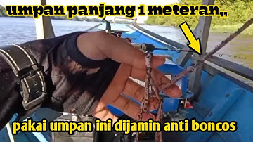 mancing pakai umpan cacing nipah di jamin anti boncoss,,,!!! #MLF16
