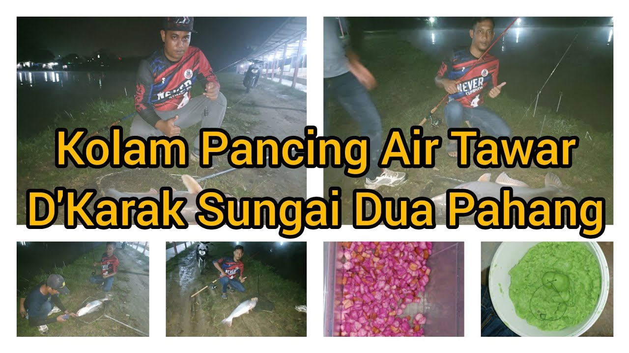 Sos Buah Naga Puaka & Tepung Pandan Puaka (Kolam Pancing Air Tawar D'Karak Sungai Dua Pahang