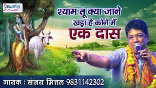 Listen to 'Shyam, what do you know, a slave is standing in the corner' on Ekadashi - Sanjay Mittal - Devotional Song