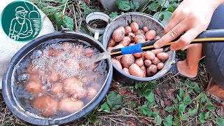 видео: 🥔 Можно ли мыть картошку перед хранением 🍠 Хранение картофеля 🌱 Опыт Гордеевых картинка: 🥔 Можно ли мыть картошку перед хранением 🍠 Хранение картофеля 🌱 Опыт Гордеевых