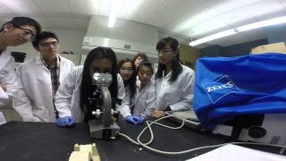Let It Grow - High School Stem Cell Researchers - City of Hope