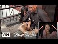Bae Reacts to Her Fight w/ Tiffany! | Black Ink Crew
