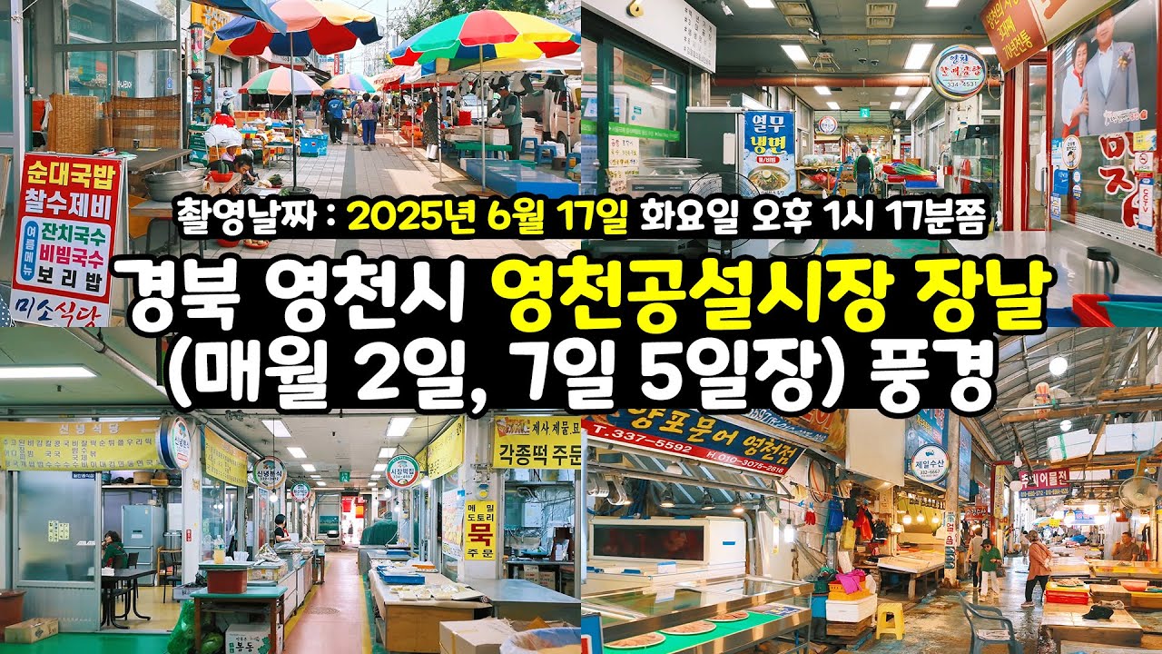 [4K] 경북 영천시 영천공설시장 장날 오일장(매월 2일, 7일 5일장) 풍경 구경 1인칭시점 걷기 동영상 | 너무 더워서 인지 사람이 별로 없다 | 평일 화요일 풍경
