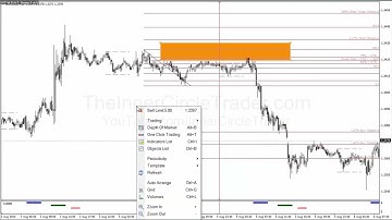 ICT Examples: Turtle Soup #25