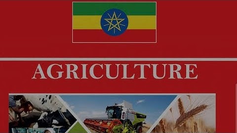 Grade 11. Unit 1. Introduction to crop production 1.4.