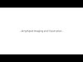 view Amphipod Imaging and Illustration digital asset number 1