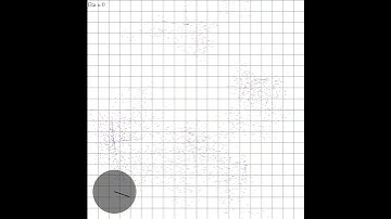 Vicsek model: initial state to full order