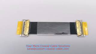 micro-coax lead Brazil on‑site factory audit IPEX 20374-030E-30 81461-100B-02-D Mild Hybrid Battery