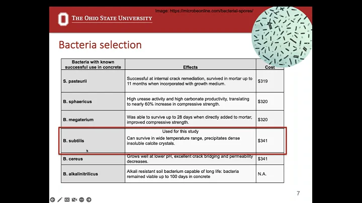 Analysis of Mitigating Concrete Cracks with Bacteria