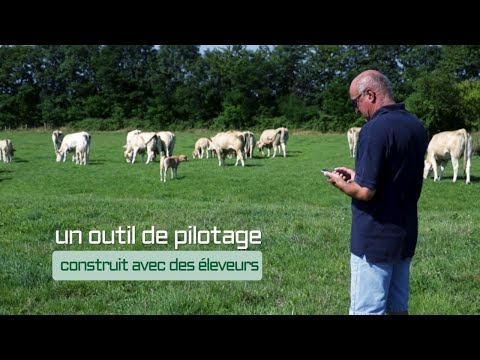 Pilot'Elevage, solution numérique pour piloter votre élevage