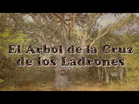 El árbol de la Cruz de los Ladrones
