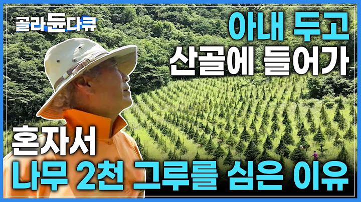 혼자서 다 심었습니다! 14년 전 시한부 판정 받고 산으로 들어간 남자의 나무 2천 그루 심기🌳ㅣ해발 700미터 주목 나무 천국ㅣ#골라듄다큐