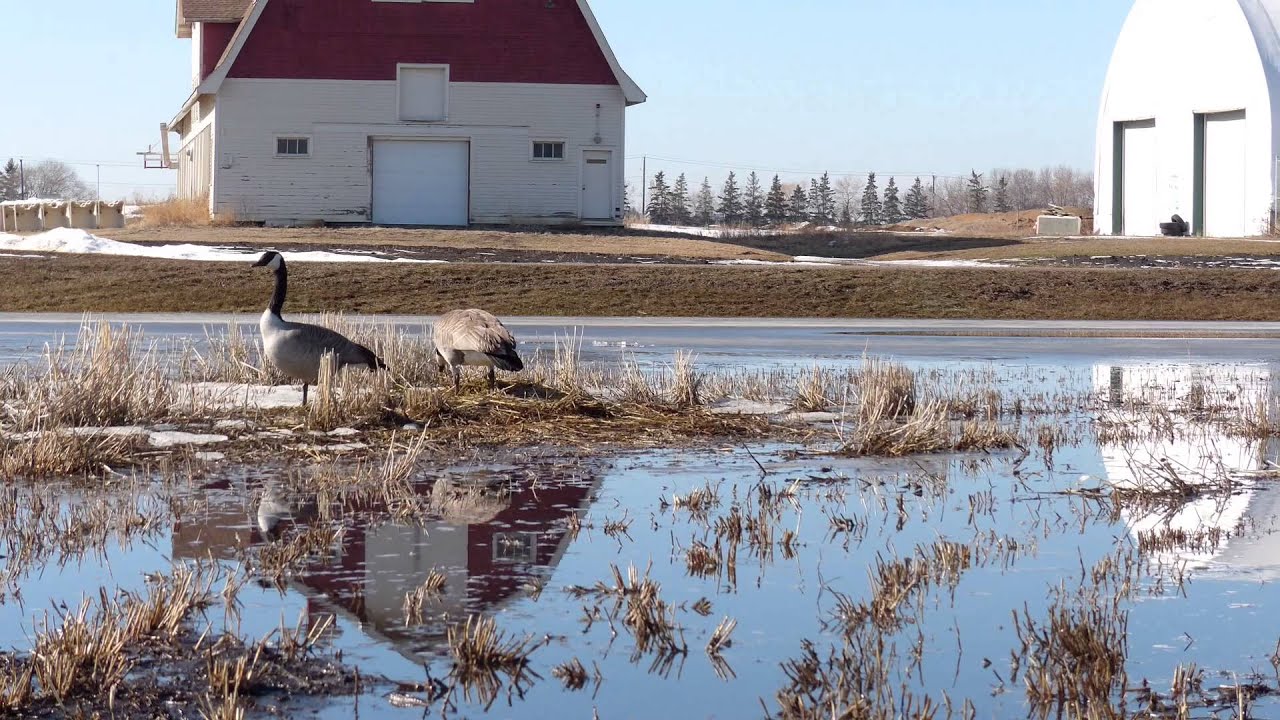 video phone beyonce mp3 Friday The 13th 😳