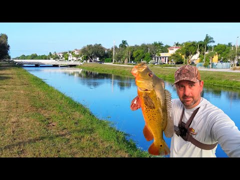 Urban Canal Fishing In South Florida