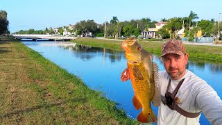 Urban Canal Fishing In South Florida