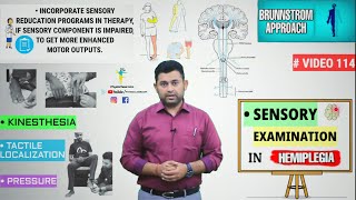 BRUNNSTROM SENSORY TESTING PROCEDURE FOR STROKE/HEMIPLEGIA PATIENTS