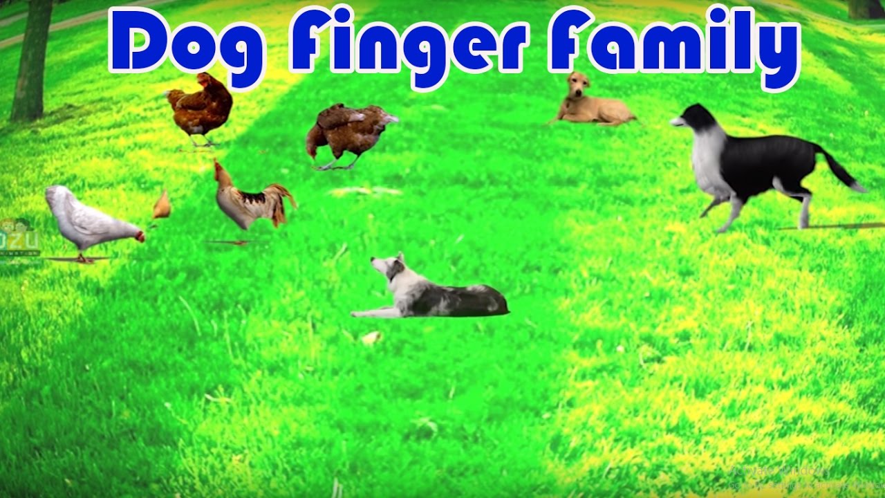 Dog's Finger Family Rhyme || Nursery Rhymes For Kids - YouTube