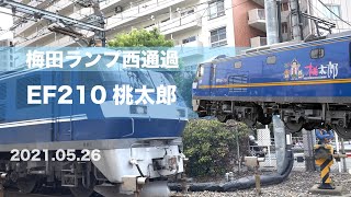 梅田ランプ西　JR梅田貨物線　EF210-118　桃太郎ラッピング　吹田貨物ターミナル行き　2021.05.26 14時台撮影