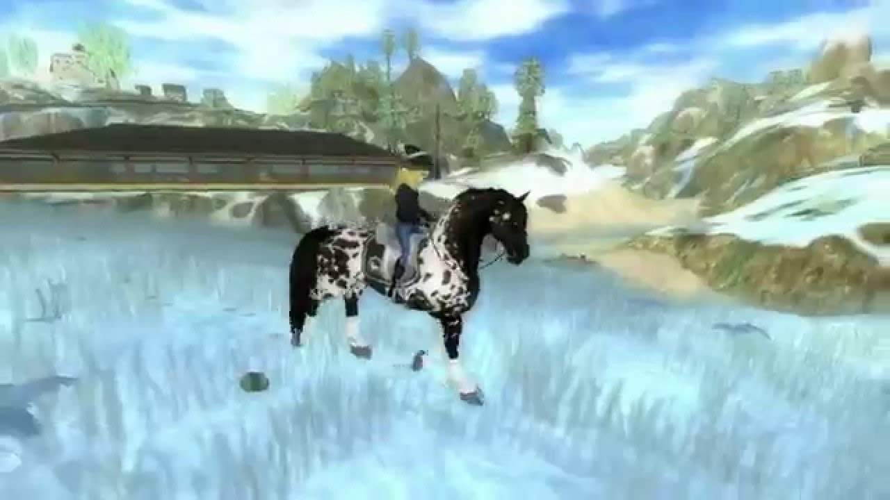 [SSO]Présentation de mes Chevaux - YouTube