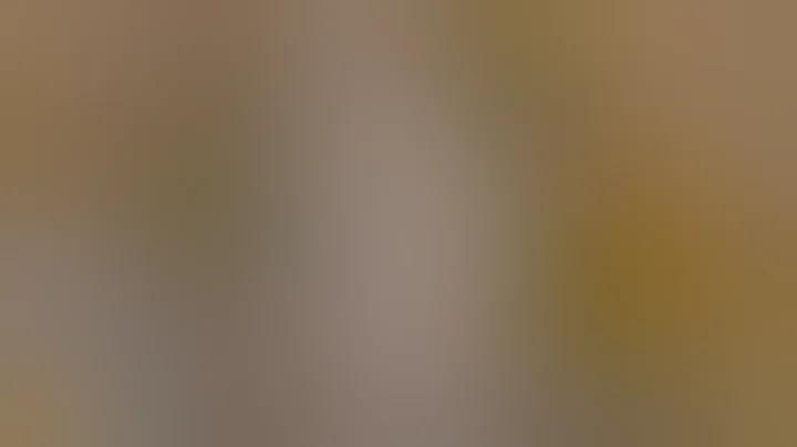 You Won’t Believe What’s Buried Under the Sahara