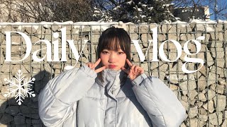 Daily vlog: Korea culture day🇰🇷, 2 cats🐈🐈‍⬛ 1 dog🐕, korea food🍜, lessons📚