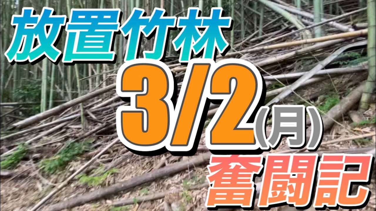 放置竹林奮闘記【早期退職者が竹を焼く日々】2026/03/02