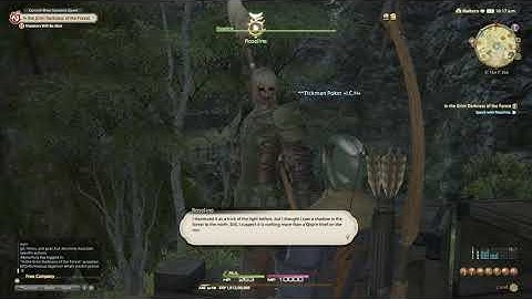 FFXIV - In the Grim Darkness of the Forest