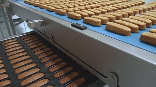 How filled cakes are made. Automated cake production line