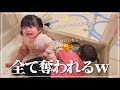 「手に取る物をことごとく奪われる娘」と「悪気は一切無いいとこ」が可愛すぎる