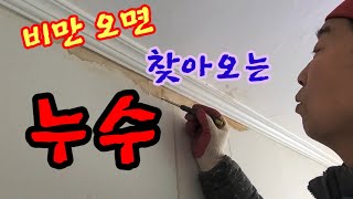 빗물 누수 공사  EP-216 handyman